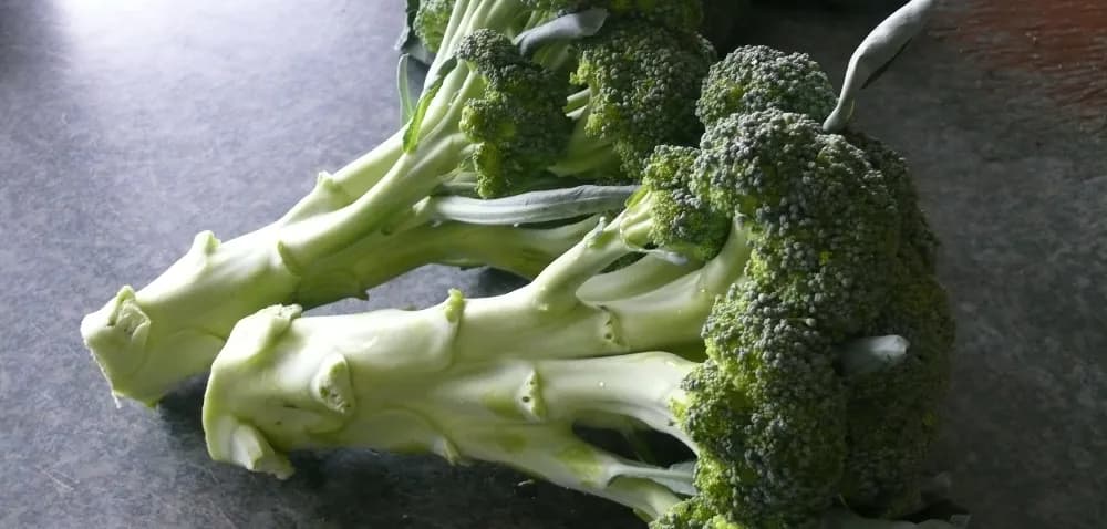 Jak uprawiać brokuł: sekrety sukcesu w ogrodzie, unikaj błędów