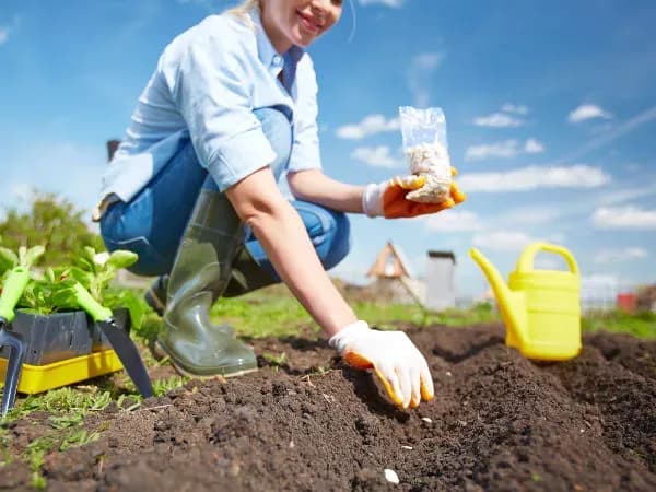 Jakie kwiaty siać w maju, aby cieszyć się pięknym ogrodem?