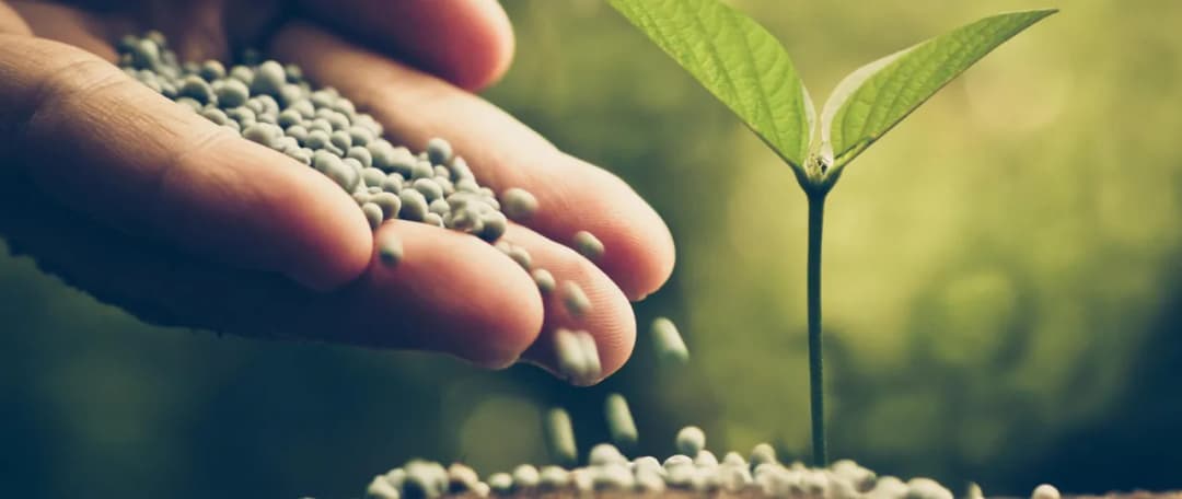 Od kiedy można składać wnioski o dopłaty do nawozów? Sprawdź terminy!