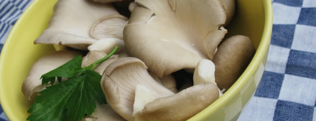 Jak uprawiać boczniaki w domu - proste sposoby na sukces w hodowli