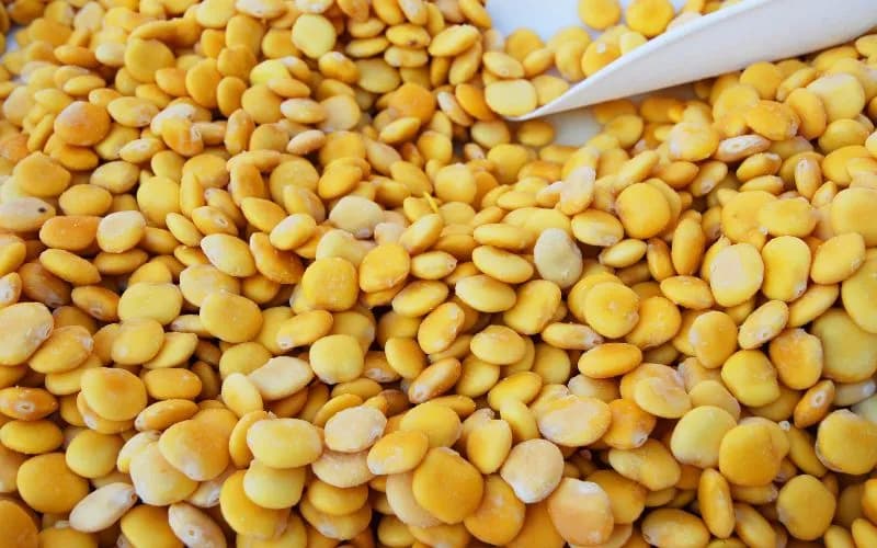 Kiedy siejemy łubin? Oto kluczowe terminy i porady dla ogrodników