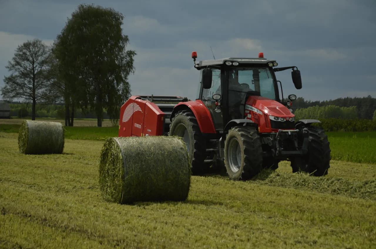 Do kiedy siać poplon arimr - uniknij błędów w siewie!