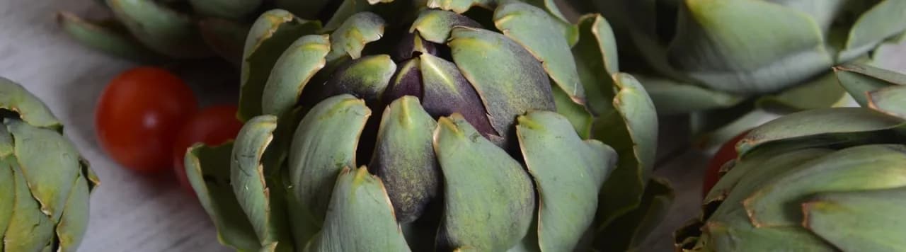 Kiedy jest sezon na karczochy? Sprawdź, by nie przegapić!