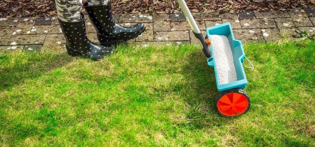 Kiedy siać nawozy na trawę, aby uzyskać zdrowy i piękny trawnik